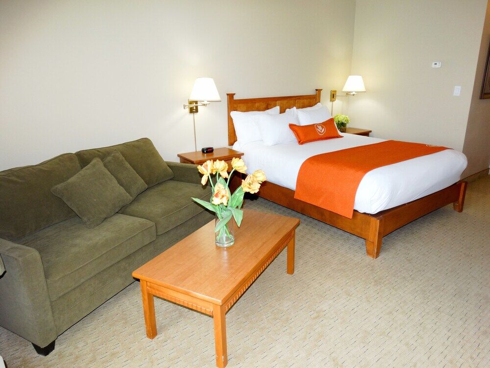 Quality Inn & Suites Amsterdam Fredericton Exterior foto